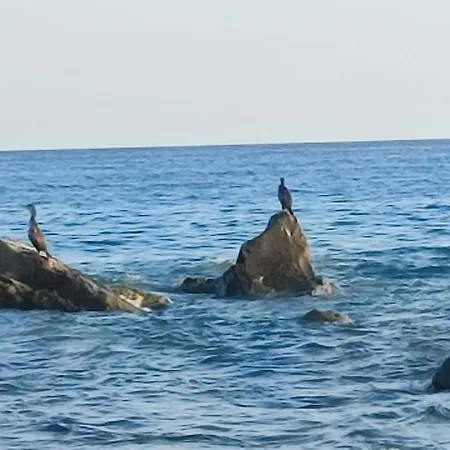 Rivamarsud - Sea View - Parking Bordighera